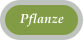 Pflanze